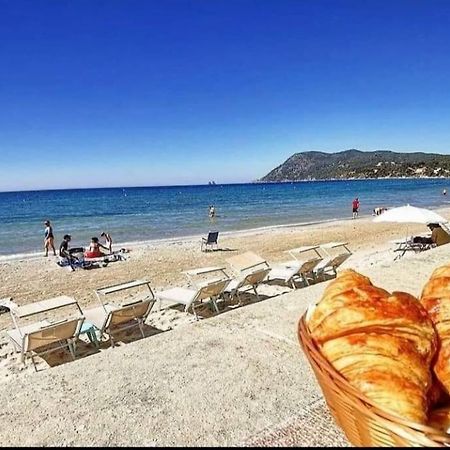 T2 Avec Clim Et Terrasse Vue Mer, Les Sablettes Ла-Сейн-сюр-Мер Экстерьер фото